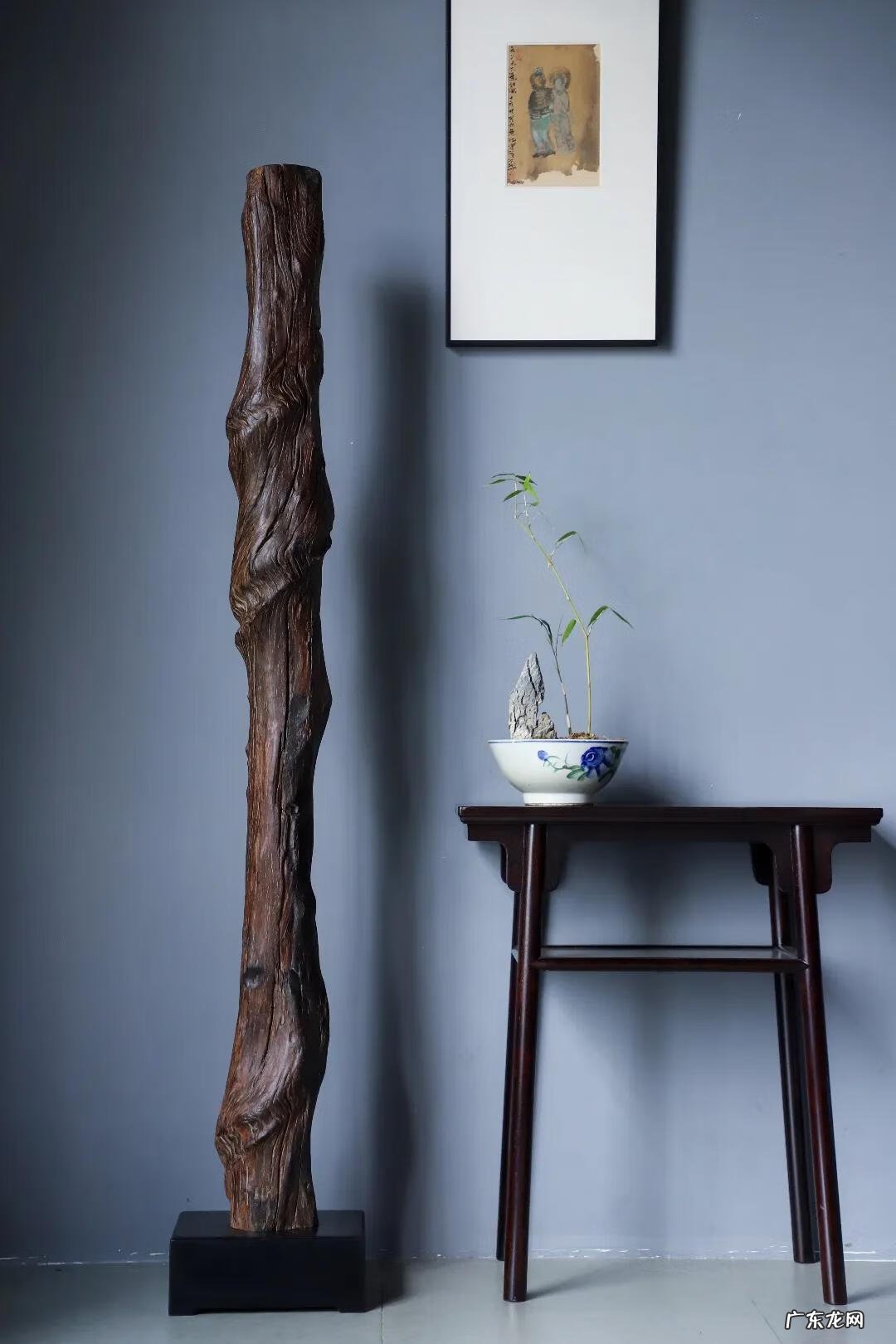 风水之盘龙形 风水里有叫什么盘龙风水