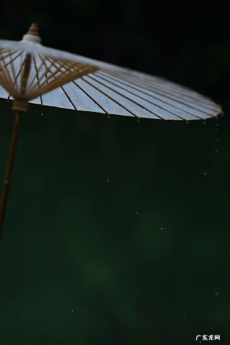 风水各种各样山形解图 山在风水学代表什么