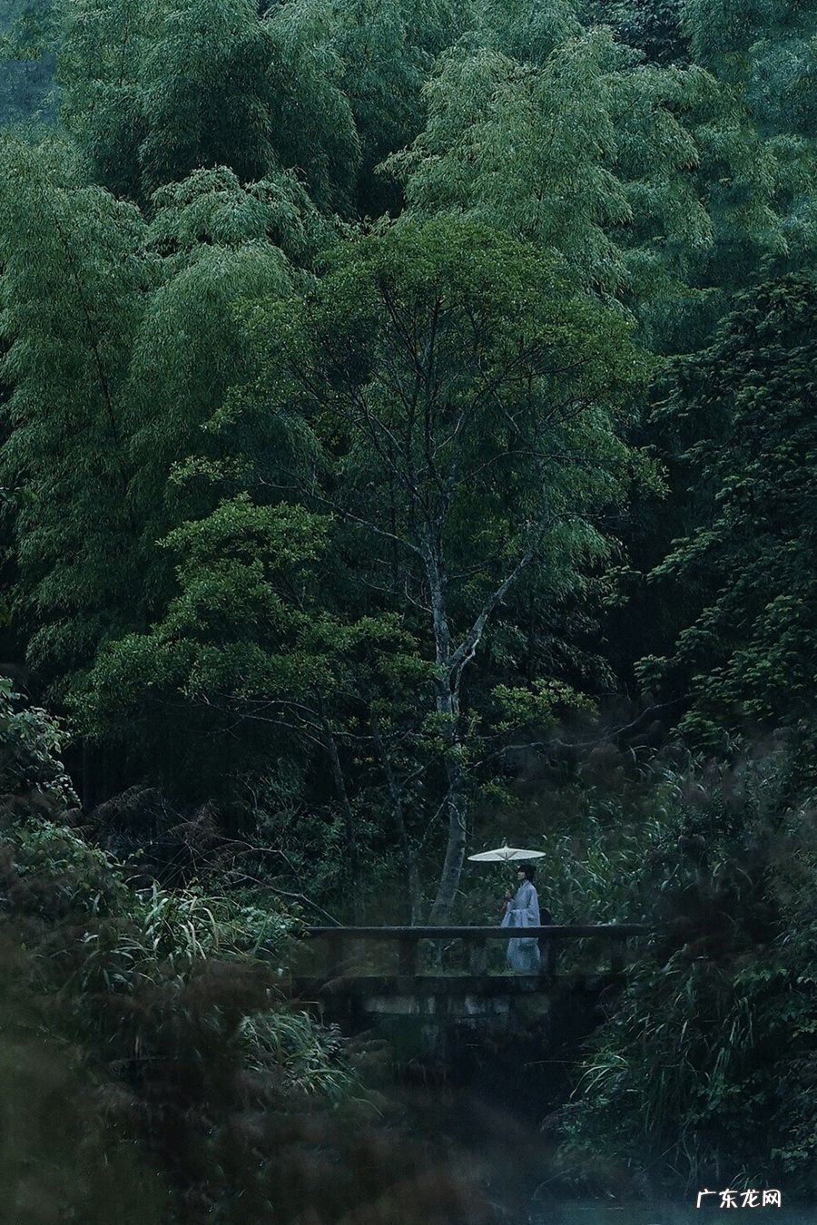 风水各种各样山形解图 山在风水学代表什么