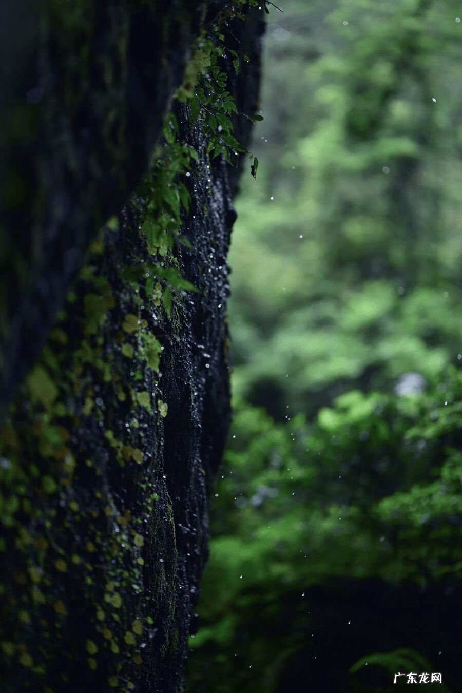 风水各种各样山形解图 山在风水学代表什么