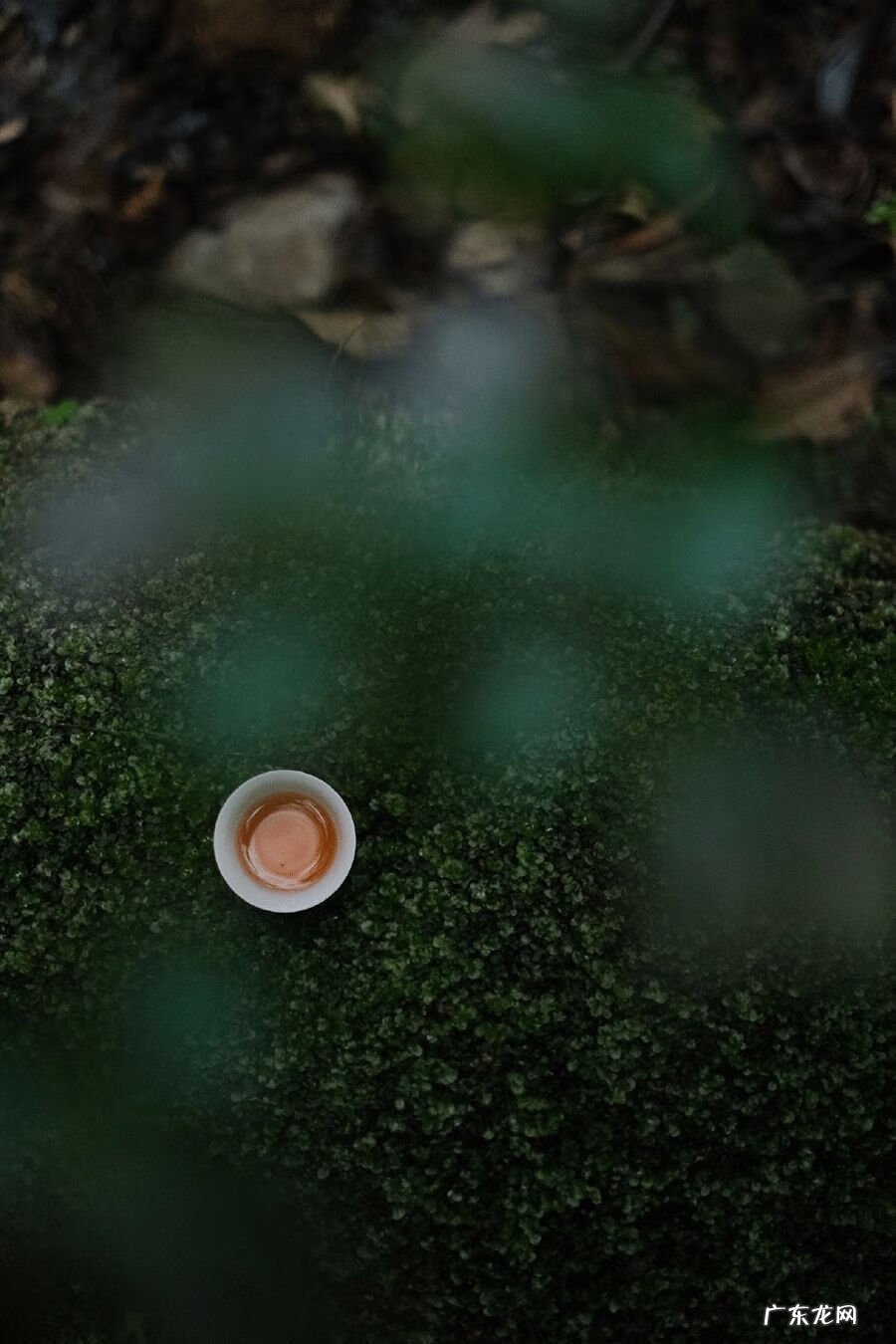 风水各种各样山形解图 山在风水学代表什么