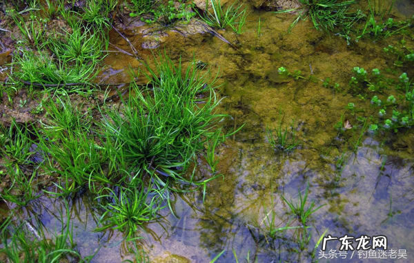 住在水库旁风水 水库下游风水