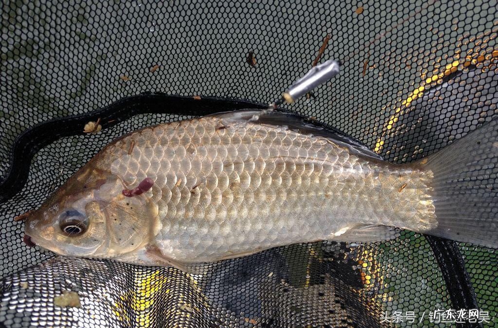 住在水库旁风水 水库下游风水