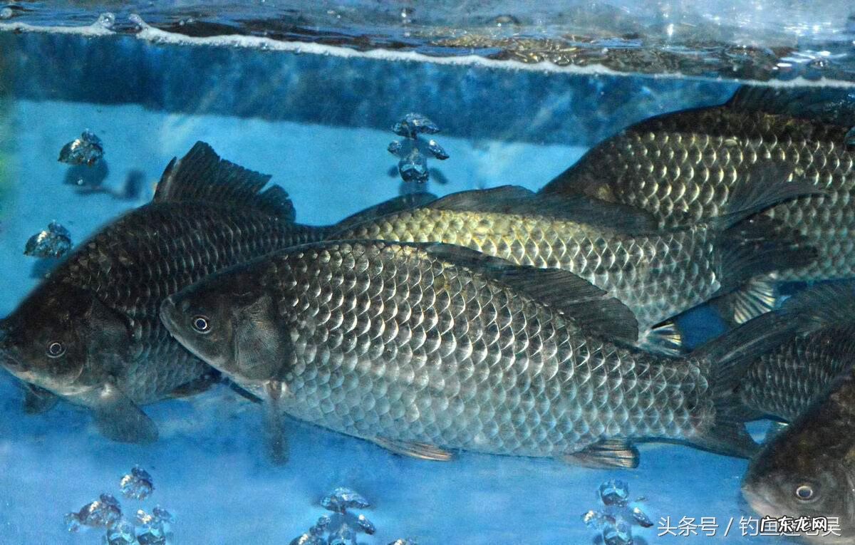 住在水库旁风水 水库下游风水