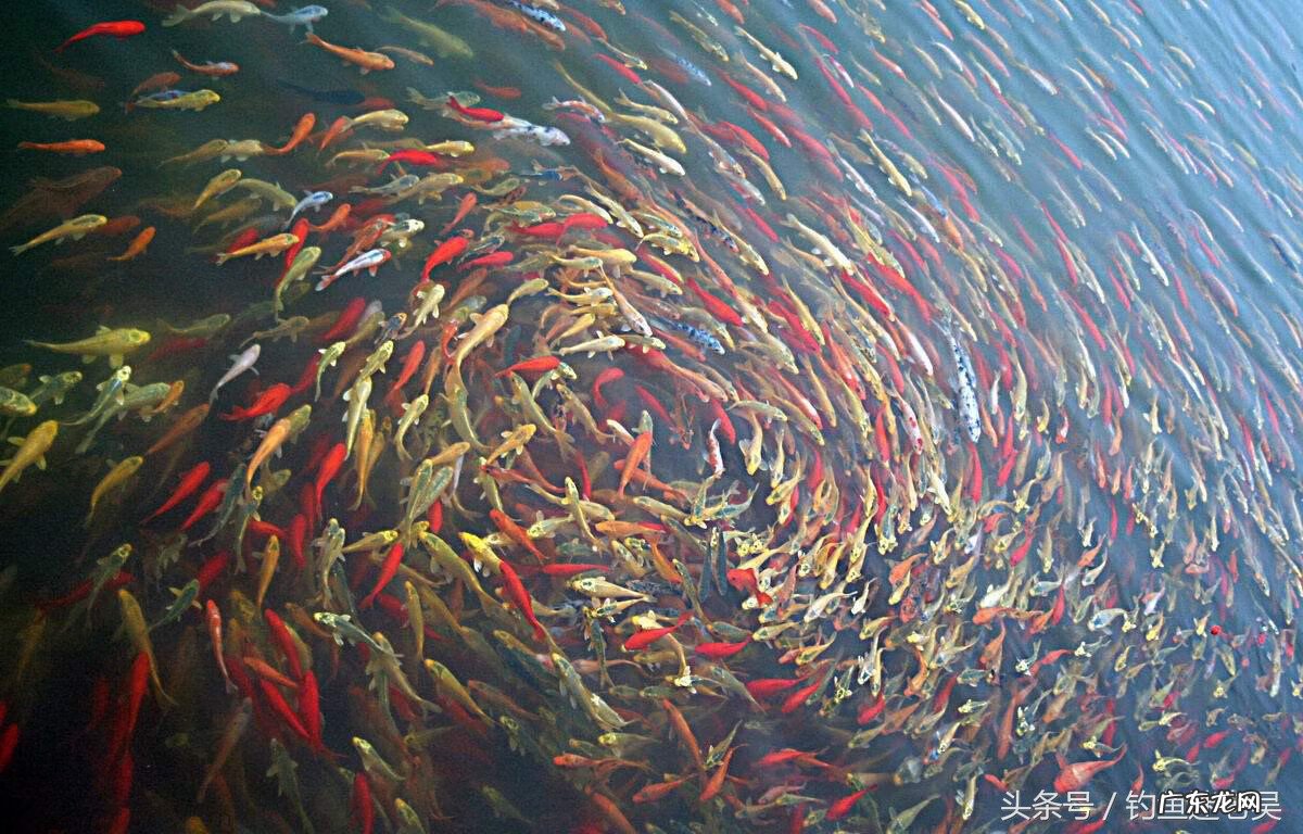 住在水库旁风水 水库下游风水