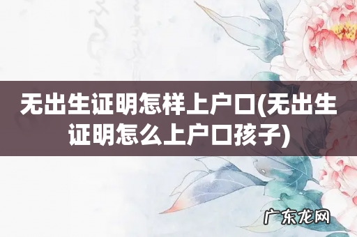 无出生证明怎么上户口孩子 无出生证明怎样上户口