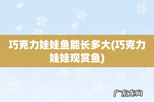 巧克力娃娃观赏鱼 巧克力娃娃鱼能长多大