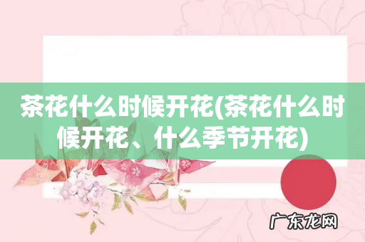 茶花什么时候开花、什么季节开花 茶花什么时候开花