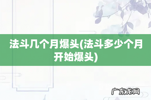 法斗多少个月开始爆头 法斗几个月爆头