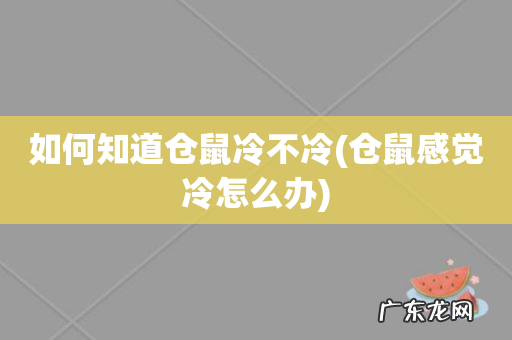 仓鼠感觉冷怎么办 如何知道仓鼠冷不冷