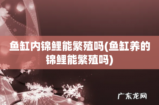 鱼缸养的锦鲤能繁殖吗 鱼缸内锦鲤能繁殖吗