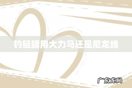 钓鲢鳙用大力马还是尼龙线