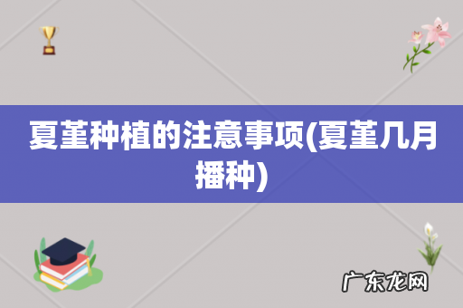 夏堇几月播种 夏堇种植的注意事项