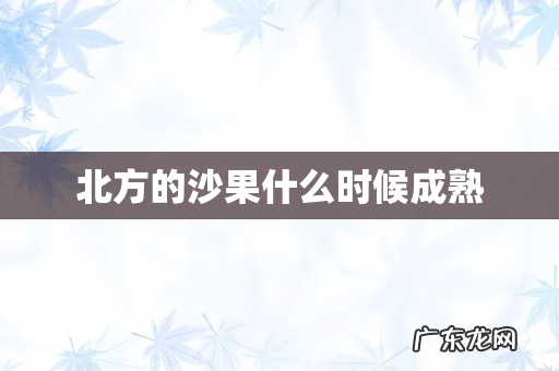 北方的沙果什么时候成熟