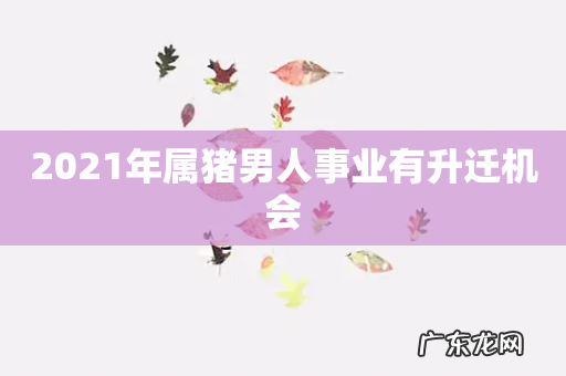 2021年属猪男人事业有升迁机会