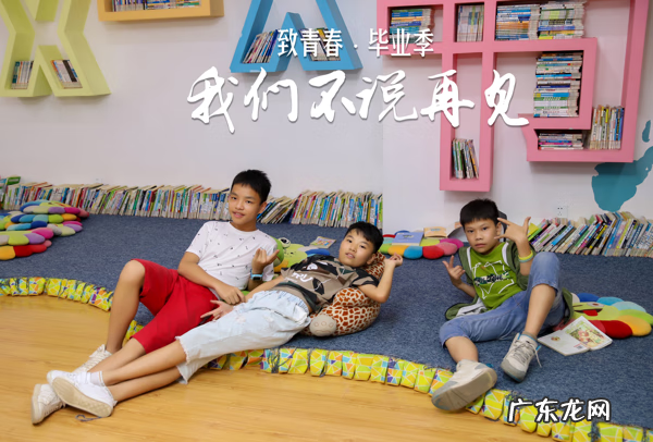 历年毕业歌曲 毕业那年的歌曲大全