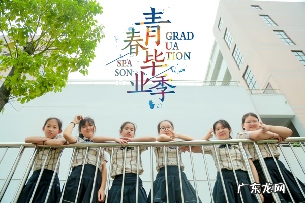 历年毕业歌曲 毕业那年的歌曲大全