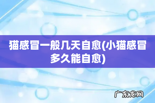 小猫感冒多久能自愈 猫感冒一般几天自愈