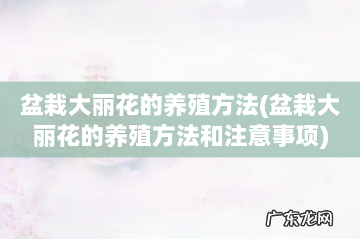盆栽大丽花的养殖方法和注意事项 盆栽大丽花的养殖方法