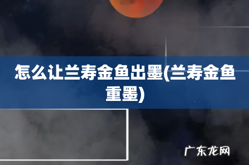 兰寿金鱼重墨 怎么让兰寿金鱼出墨