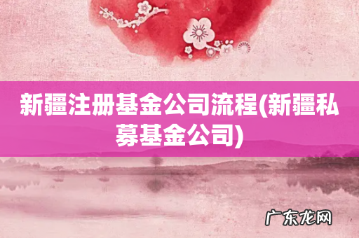 新疆私募基金公司 新疆注册基金公司流程