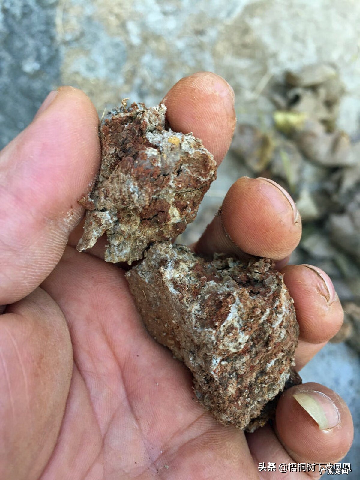 盗墓故事民间传说 盗墓鬼故事民间传说