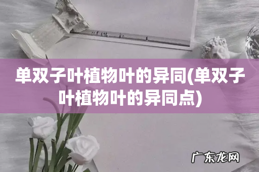 单双子叶植物叶的异同点 单双子叶植物叶的异同