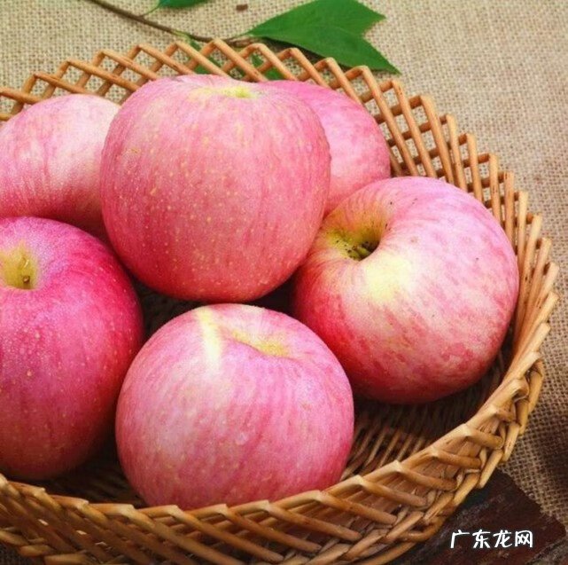 热量不高饱腹感强的零食 热量低的食物有哪些