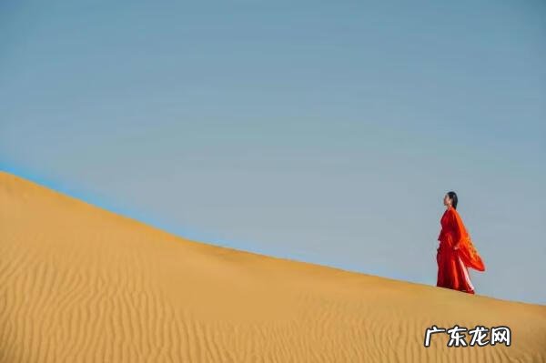 感恩的文章1000字