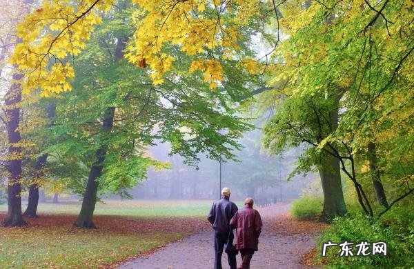 感恩的文章1000字