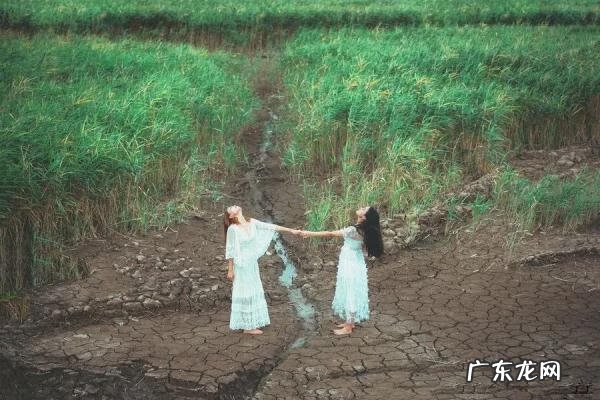 感恩的文章1000字