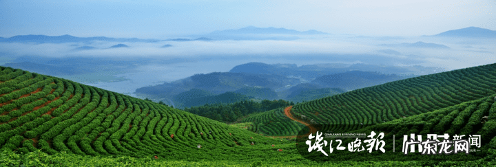 春风水冷摩托车250价格 春风快艇价格