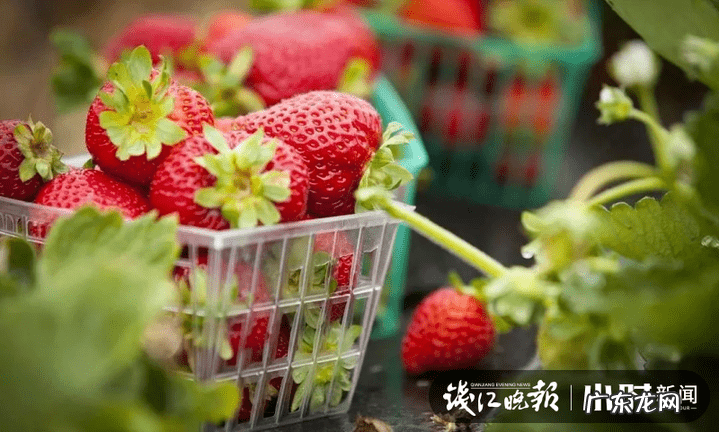 春风水冷摩托车250价格 春风快艇价格