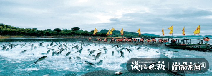 春风水冷摩托车250价格 春风快艇价格