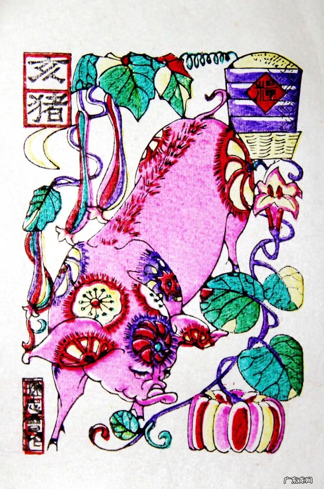 猪丑照 猪年的图片