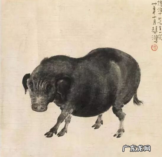 猪丑照 猪年的图片