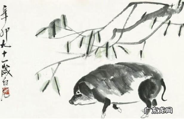 猪丑照 猪年的图片