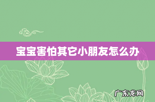 宝宝害怕其它小朋友怎么办