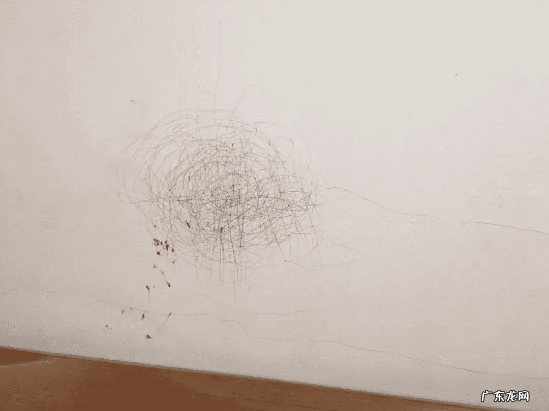 家里的画可以影响风水吗 墙上贴画会不会影响风水