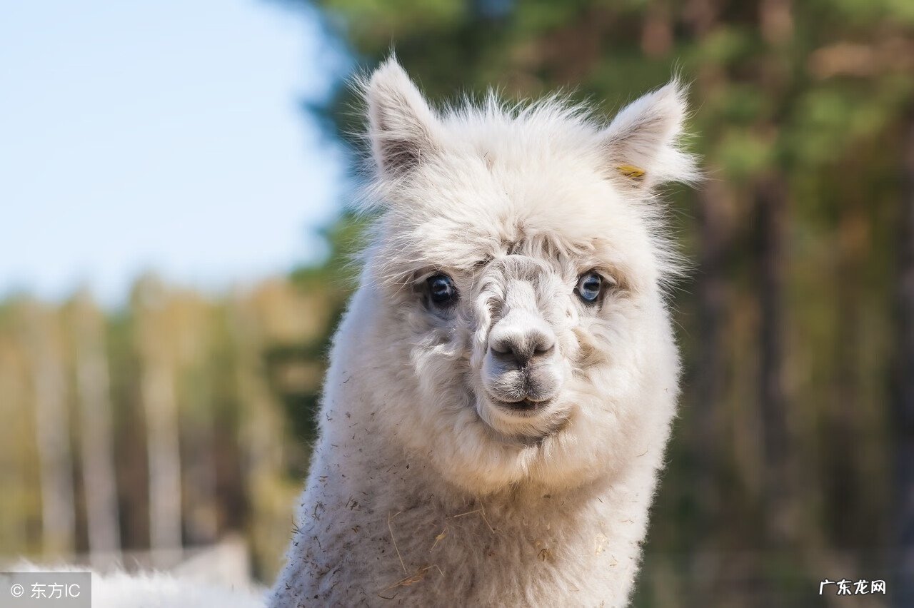 风水墓地空亡线是什么意思 阳宅空亡线怎么看