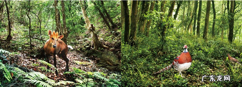 开化县古田山公交 开化古田风水传说