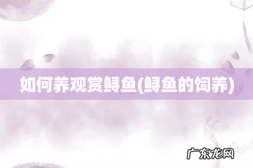 鲟鱼的饲养 如何养观赏鲟鱼