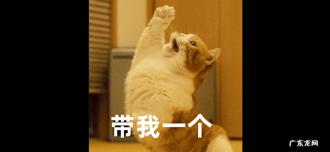 十大减肥零食排行榜 减肥 零食