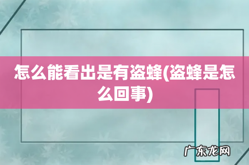 盗蜂是怎么回事 怎么能看出是有盗蜂