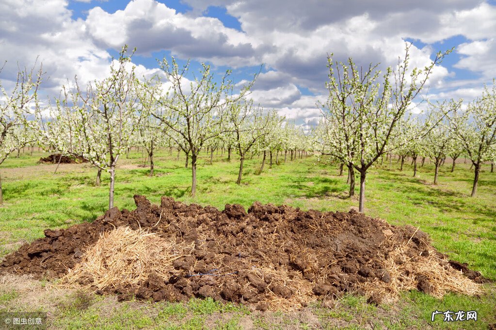 粪箕 农村的粪箕子