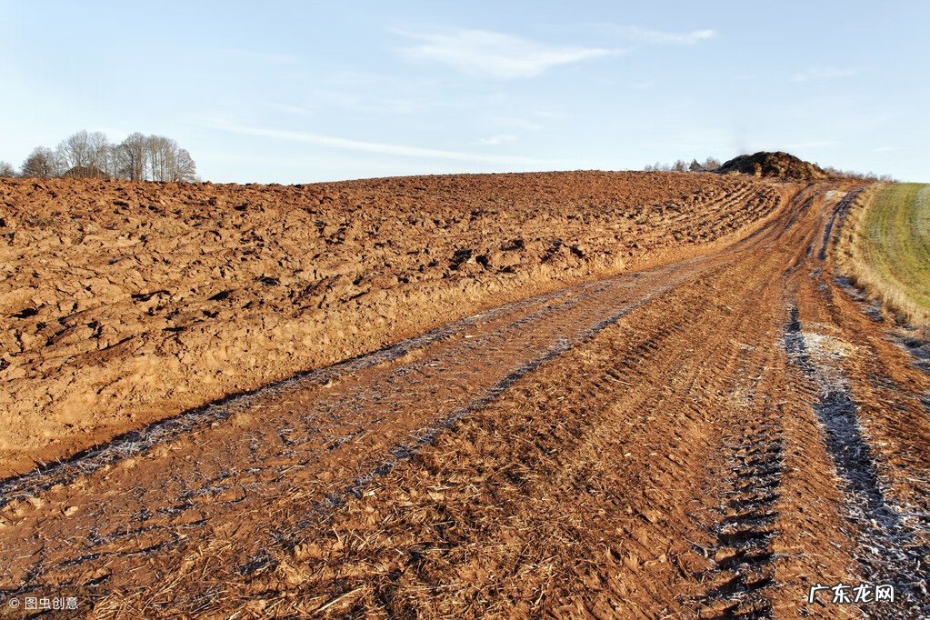 粪箕 农村的粪箕子