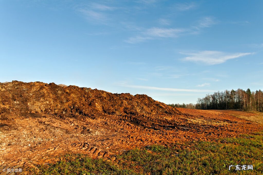 粪箕 农村的粪箕子