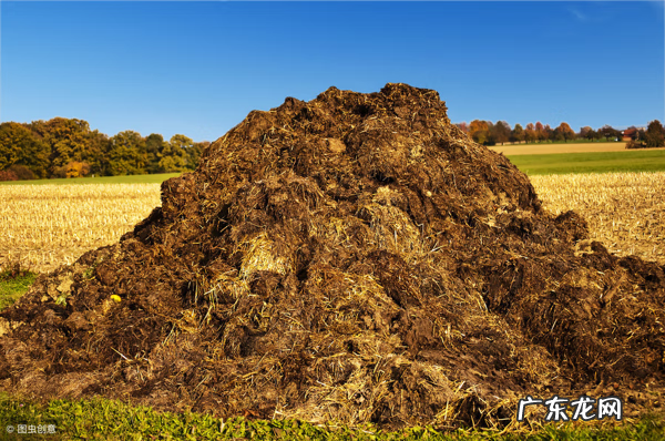 粪箕 农村的粪箕子