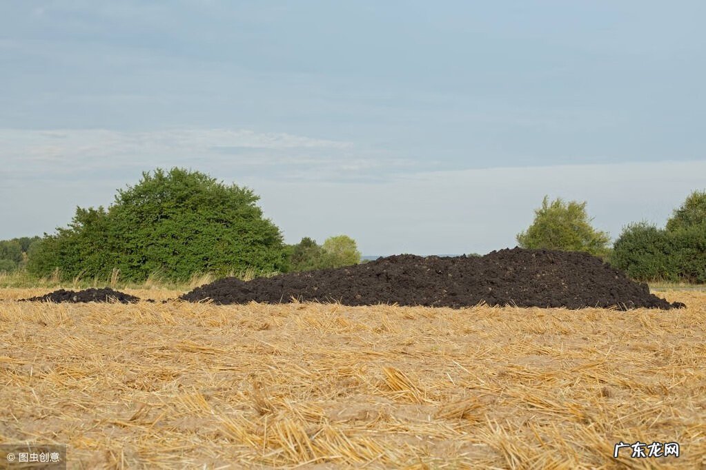 粪箕 农村的粪箕子