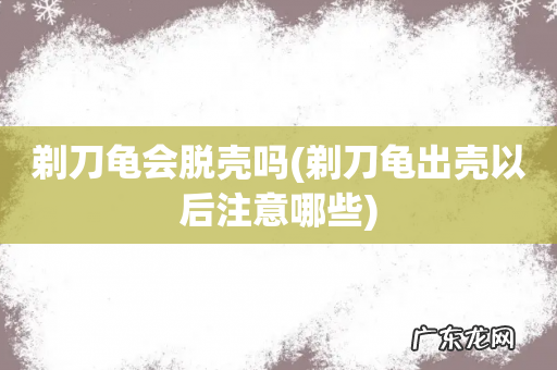 剃刀龟出壳以后注意哪些 剃刀龟会脱壳吗